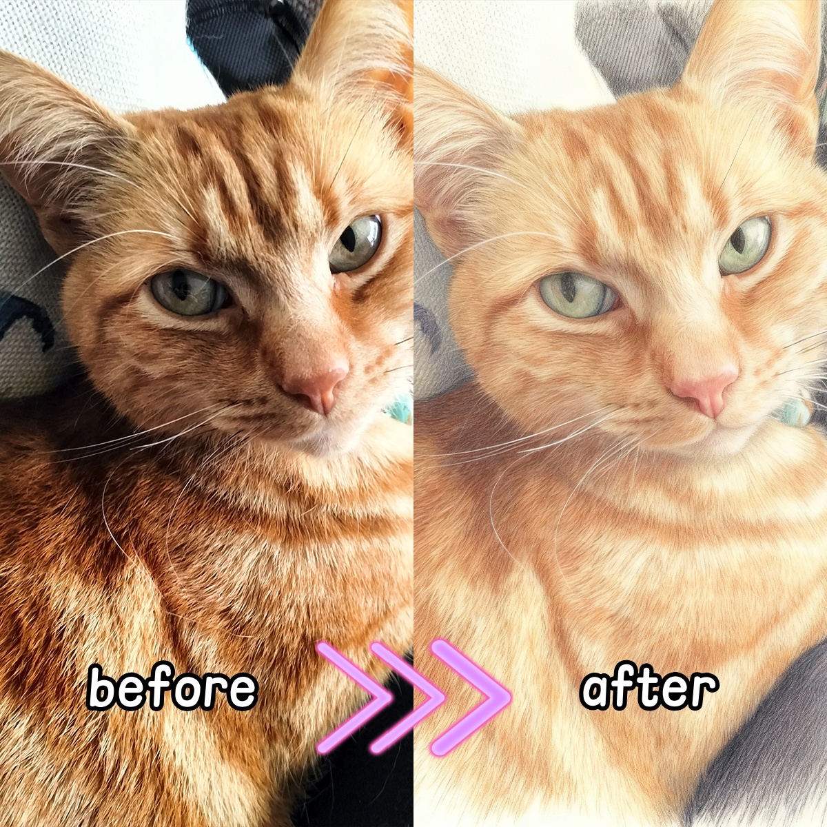 Personalized Custom Colored Pe - Pet Portrait Custom 评论和价格