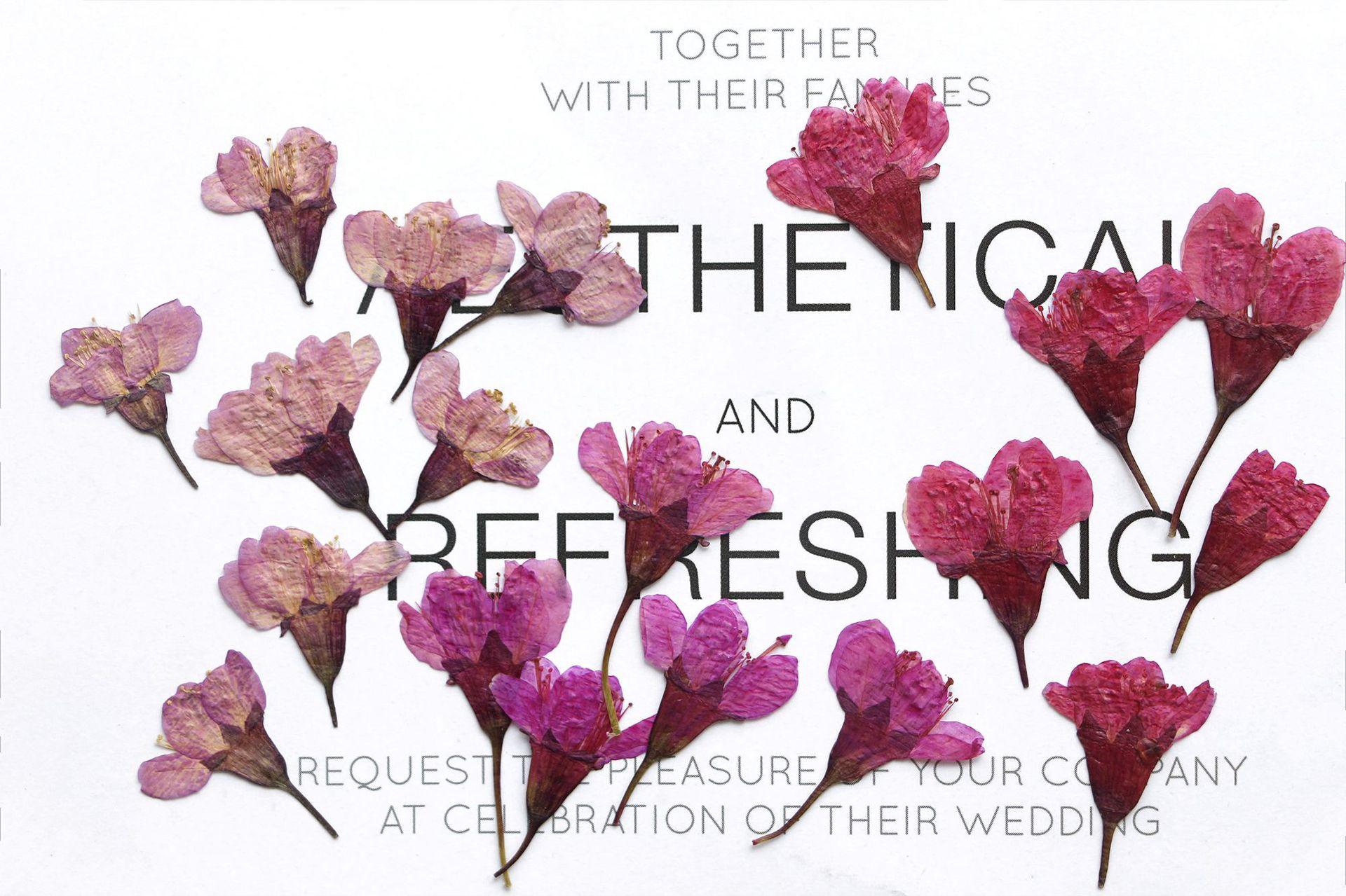 36Pcs Natural Dried Flower Pre - Dried Flower Bookmark 评论和价格